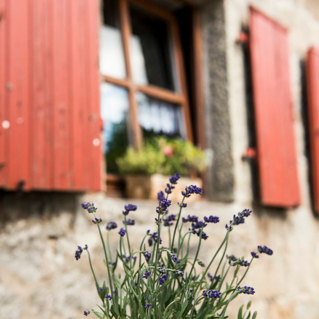 Ausflugsziele der Region im Frühjahr, Sommer oder Herbst - Pension Leppert in Bischofsgrün in Bayern