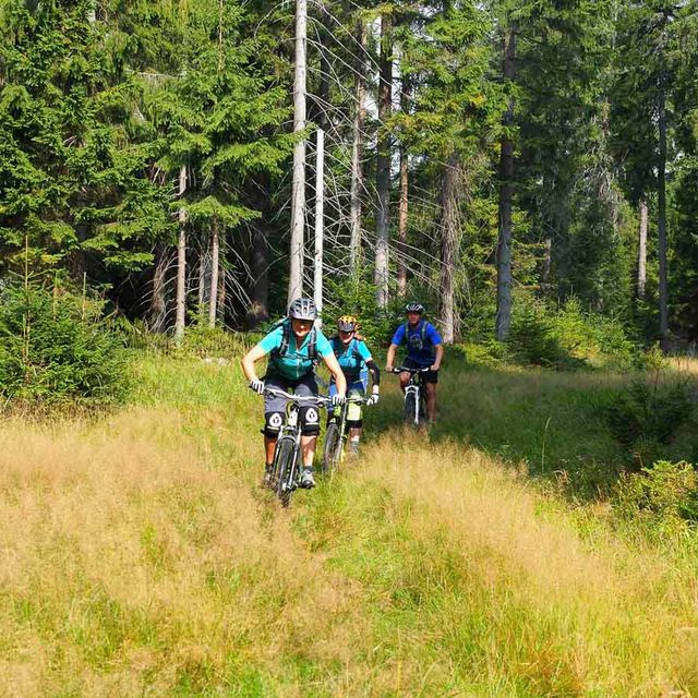 Ausflugsziele der Region im Frühjahr, Sommer oder Herbst - Pension Leppert in Bischofsgrün in Bayern