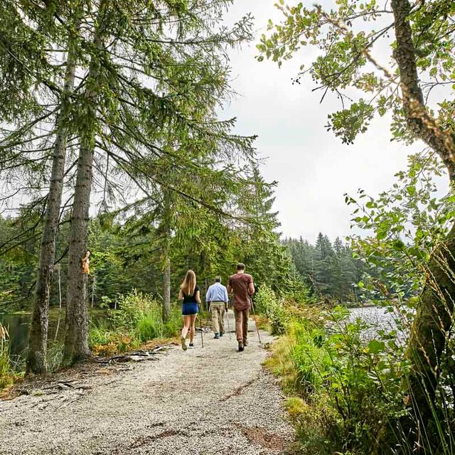 Ausflugsziele der Region im Frühjahr, Sommer oder Herbst - Pension Leppert in Bischofsgrün in Bayern