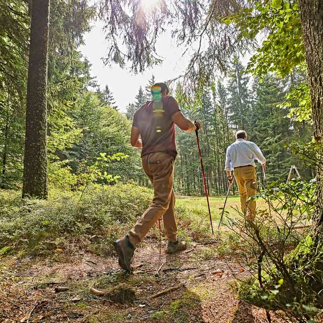 Ausflugsziele der Region im Frühjahr, Sommer oder Herbst - Pension Leppert in Bischofsgrün in Bayern