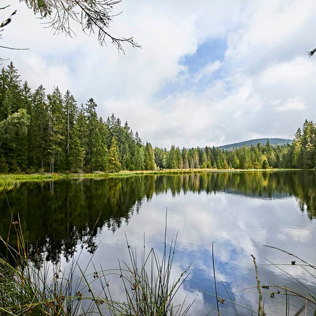 Ausflugsziele der Region im Frühjahr, Sommer oder Herbst - Pension Leppert in Bischofsgrün in Bayern